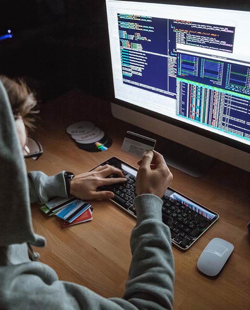 Schools to Hold Programming Courses In 2016